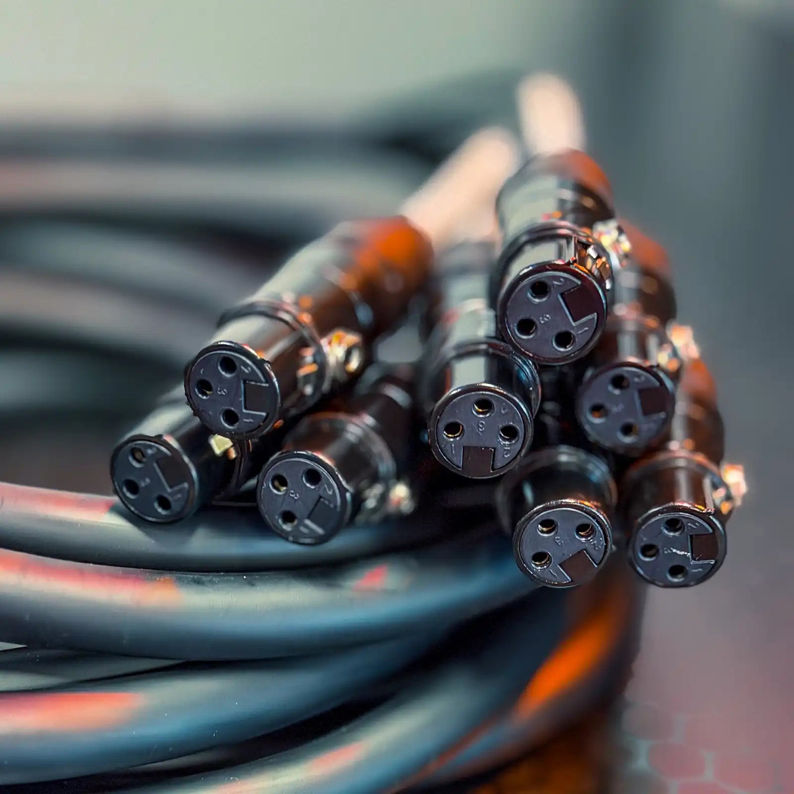 female connection on XLR Loom