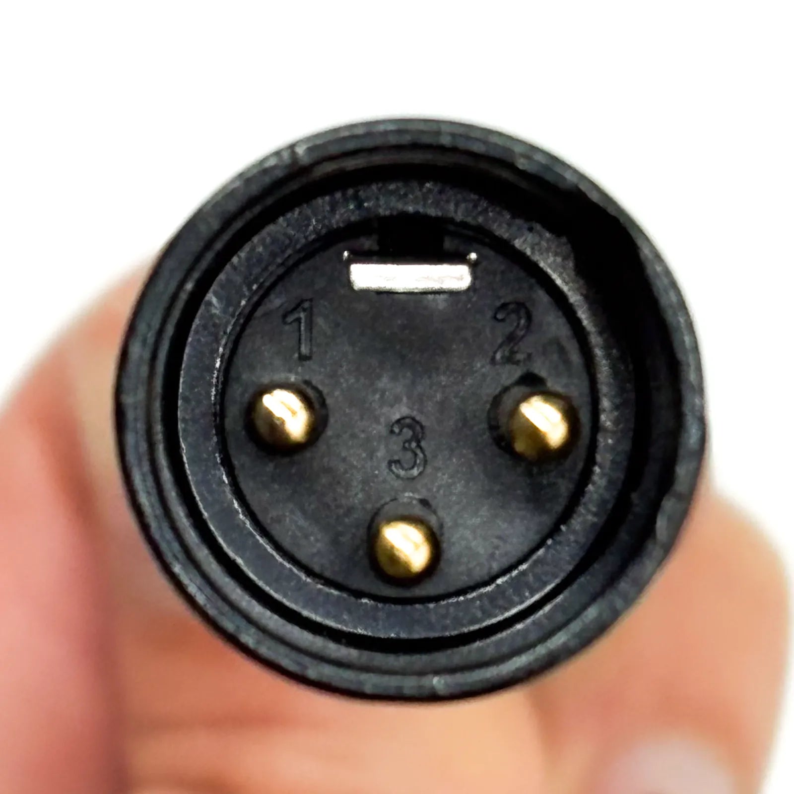XLR Cable