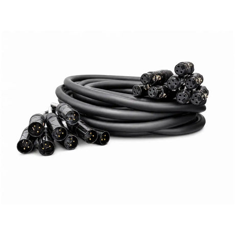 XLR Loom