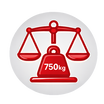 Verified 750kg Safe Working Load Icon