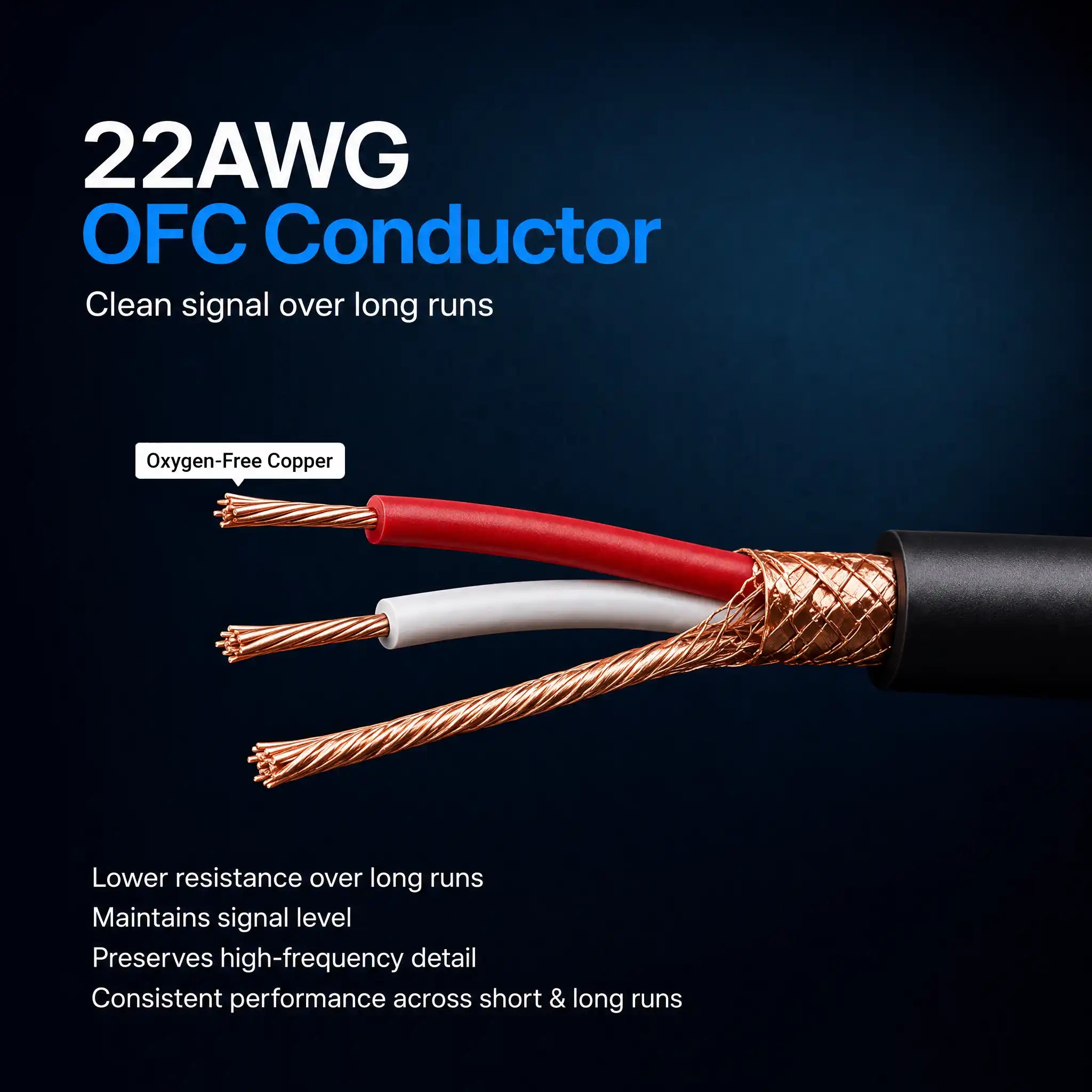 XLR Cable