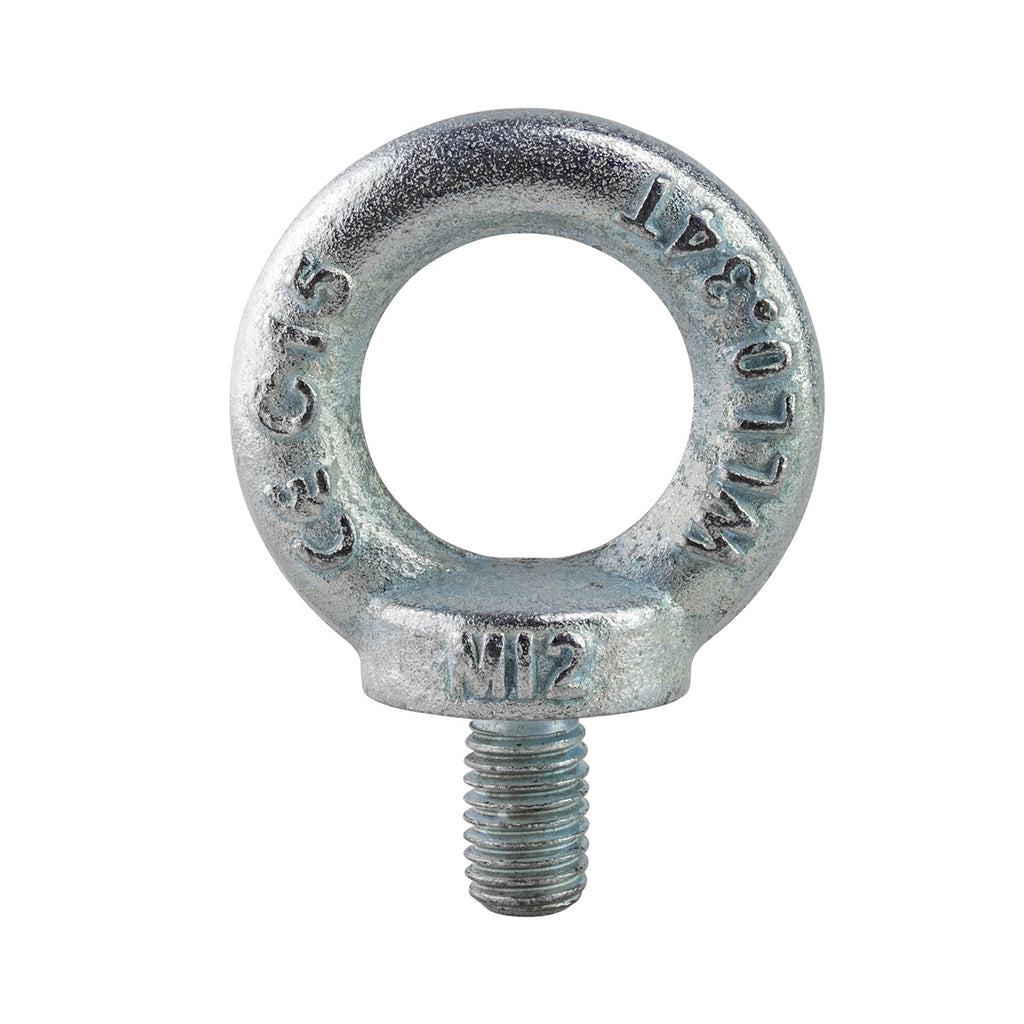 M12 Eye Bolt DIN580 WLL 340kg